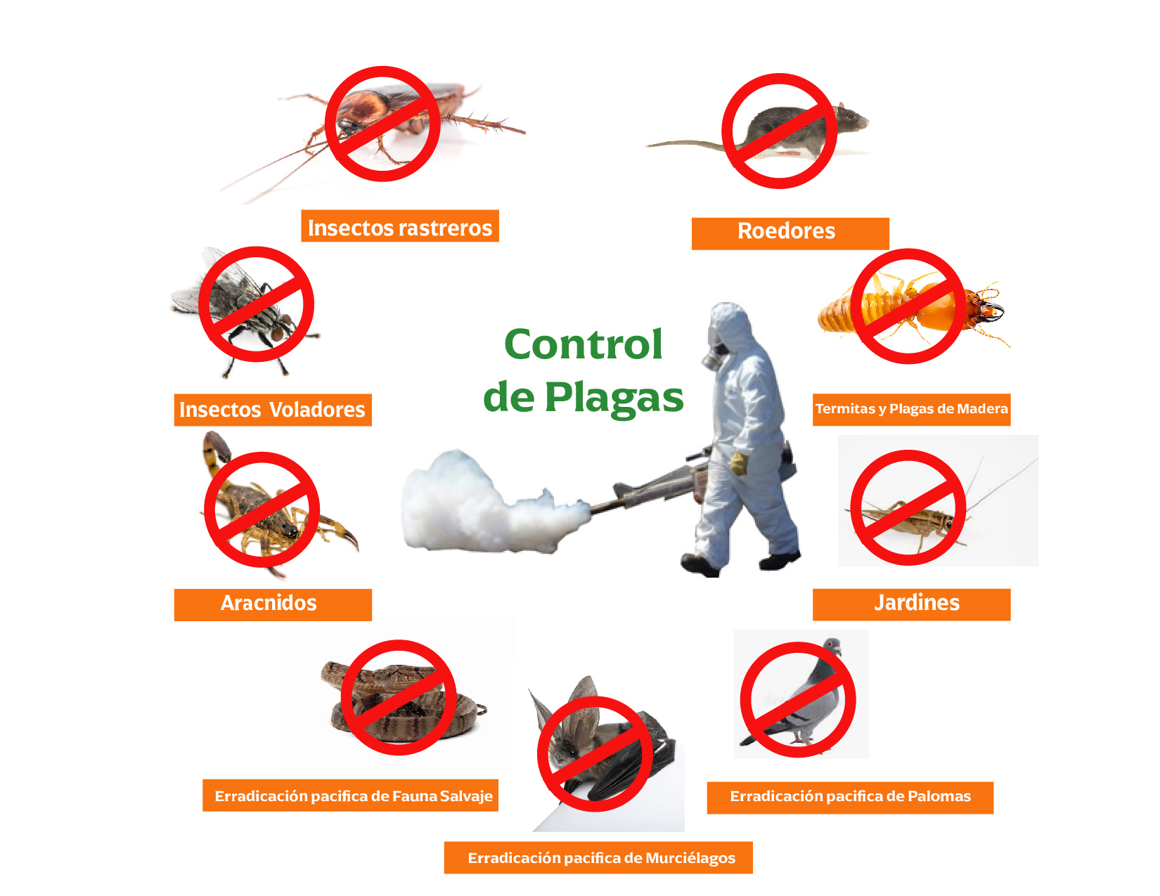 Pestcontrol | Fumigaciones Irapuato